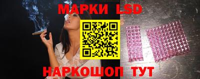 молекула духа Будённовск