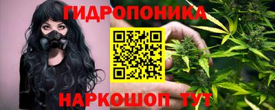 молекула духа Будённовск