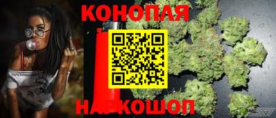 молекула духа Будённовск