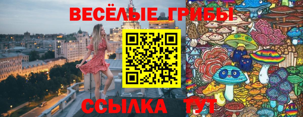 Псилоцибиновые грибы мухоморы Нововоронеж