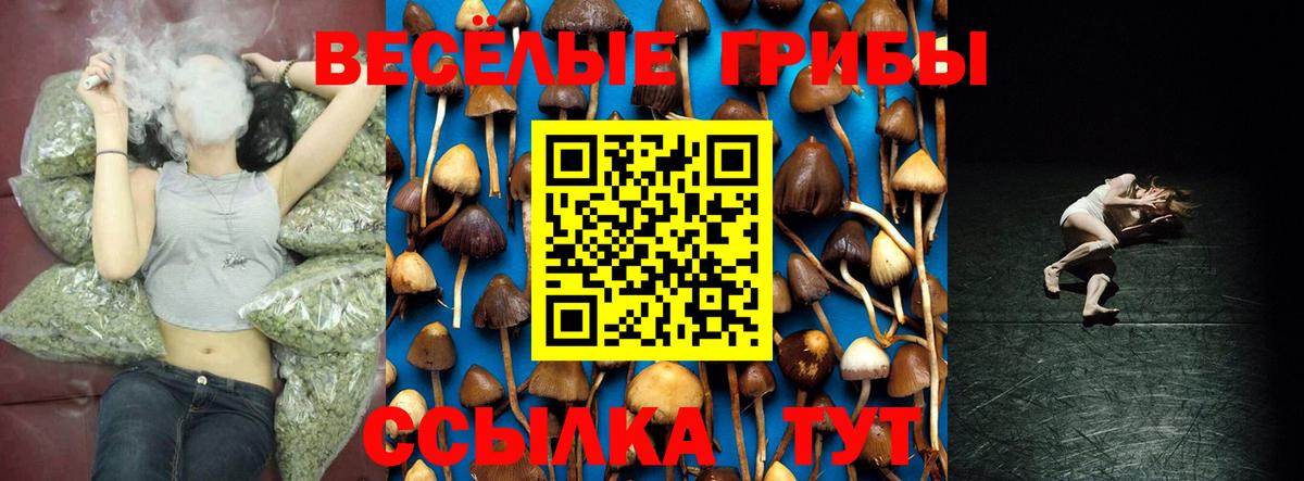 Псилоцибиновые грибы мицелий  Вход с VPN  Нововоронеж 