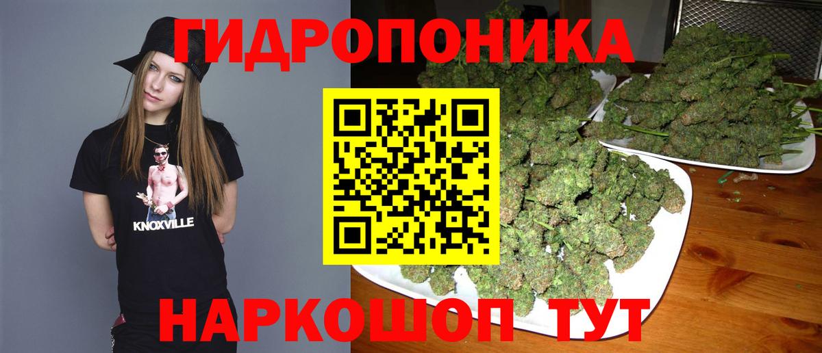 Марихуана план Нововоронеж